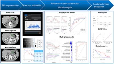 Multi-Phase CT-Based Radiomics Nomogram for Discrimination Between Pancreatic Serous Cystic Neoplasm From Mucinous Cystic Neoplasm